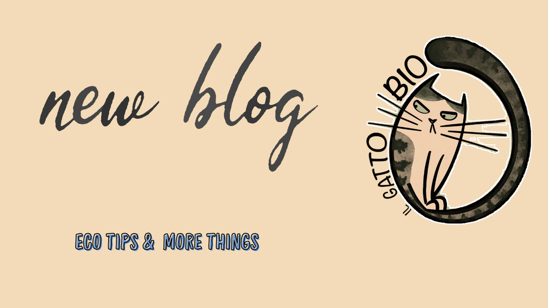 gatto sulla destra con scritta Il gatto bio a incorniciarlo. sulla sinistra scritta new blog e sotto scritta eco tips & more things