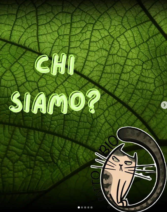 LOGO IL GATTO BIO CON ELEMENTI BOTANICI NATURALI