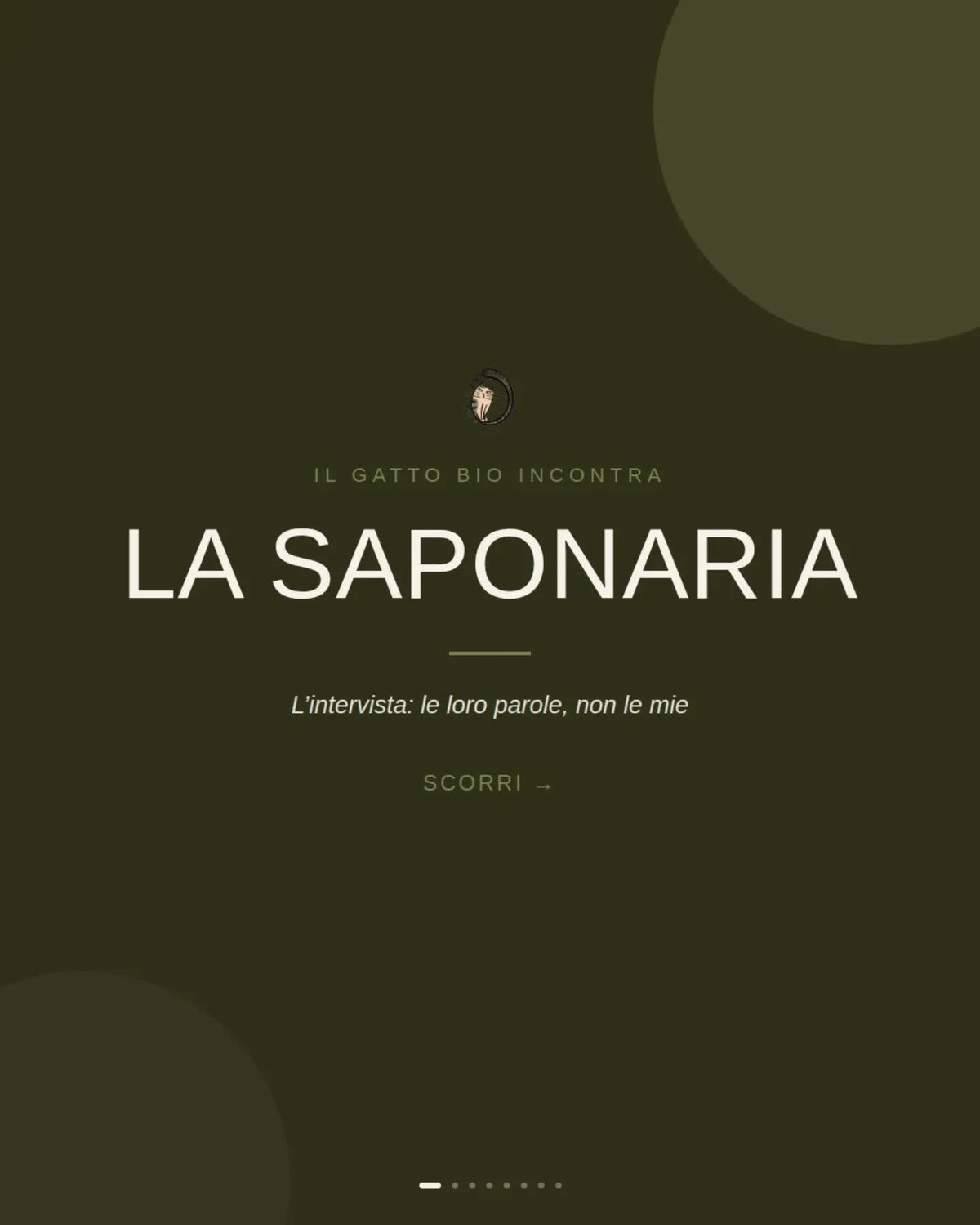 LA SAPONARIA: I PIONIERI DELLA COSMESI NATURALE ITALIANA